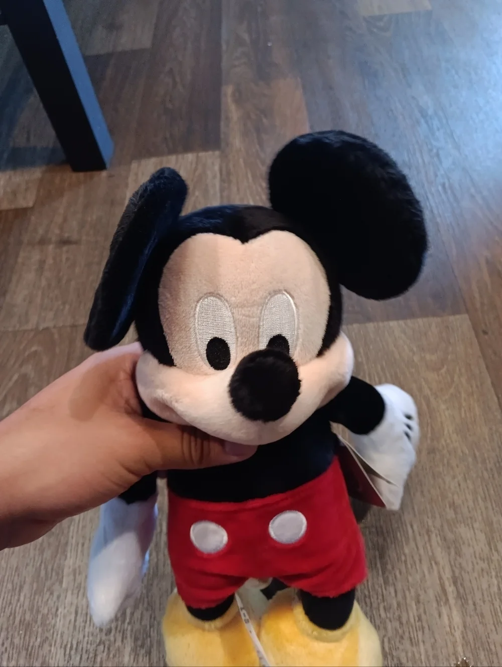 Disney mickey mouse